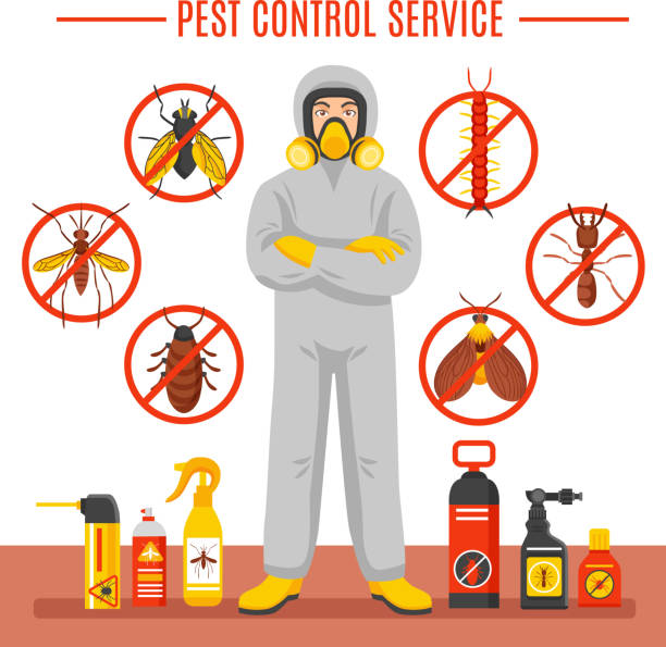 Advanced Pest Solutions technician carrying out a pest control treatment